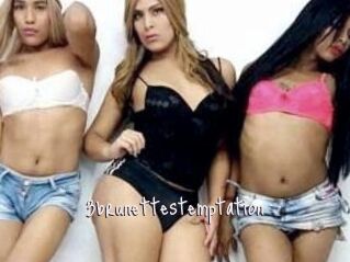 3brunettes_temptation