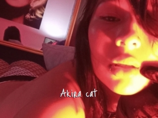 Akira_cat