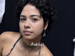 Anashus