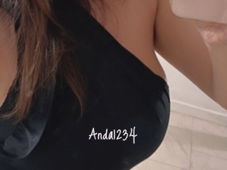 Anda1234