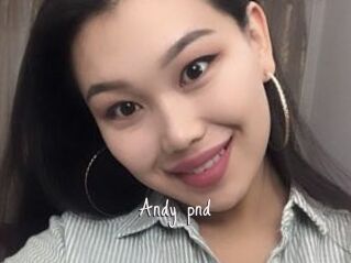 Andy_pnd