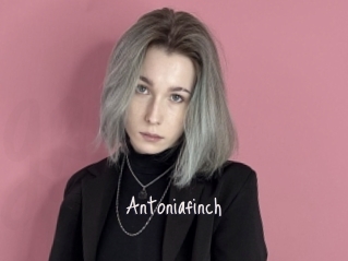 Antoniafinch