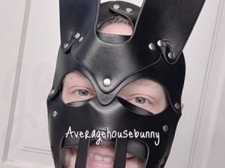 Averagehousebunny