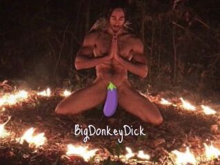 BigDonkeyDick