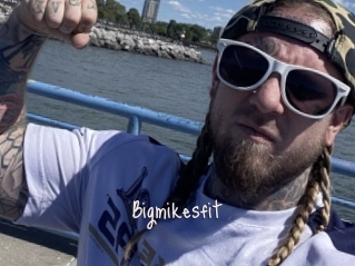 Bigmikesfit