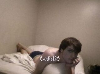 Codie123