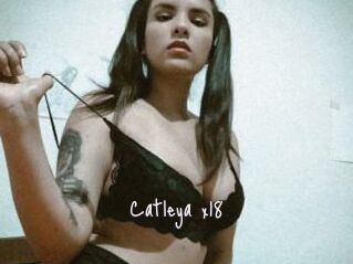 Catleya_x18