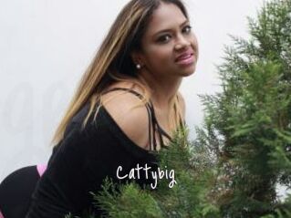 Cattybig