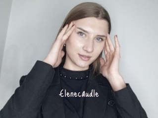 Elenecaudle