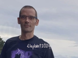 Elephant2024