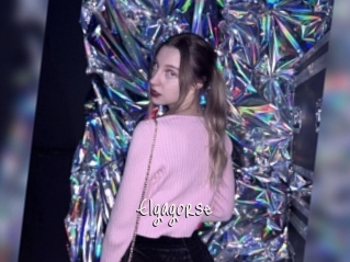 Elgagorse