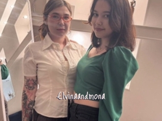 Elvinaandmona