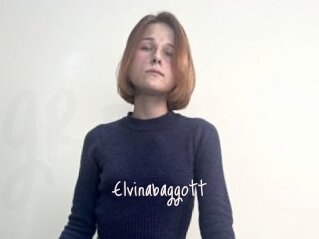 Elvinabaggott