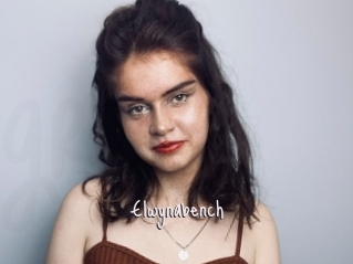 Elwynabench