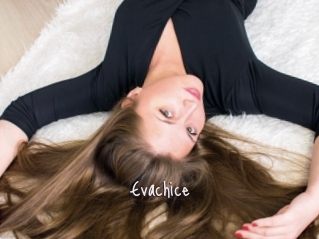 Evachice