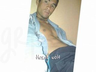 Horny_wolf