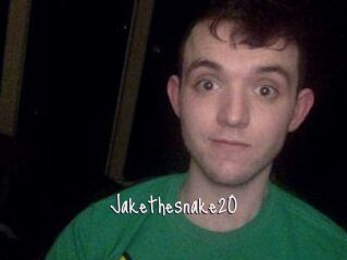 Jakethesnake20