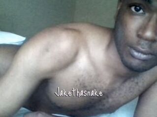 Jake_tha_snake