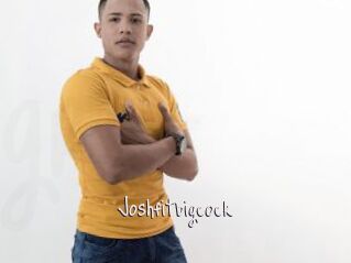 Joshfitbigcock