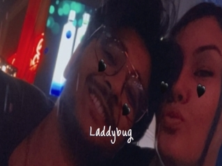 Laddybug