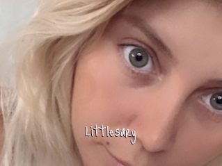 Littlesary