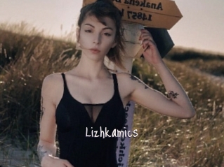 Lizhkamics