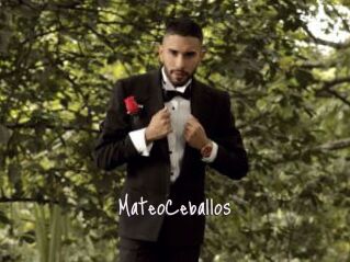 MateoCeballos