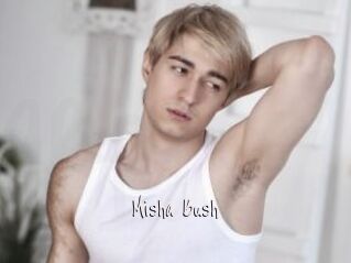 Misha_Bush