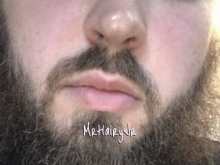 MrHairyJr