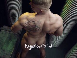 Magnificentstud