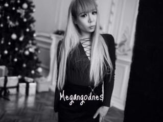 Megangodnes