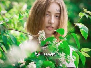 Mollieevans