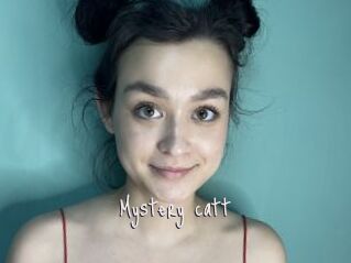 Mystery_catt