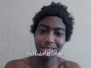 NintendoMarioMario