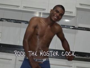 POOL_THE_MOSTER_COCK