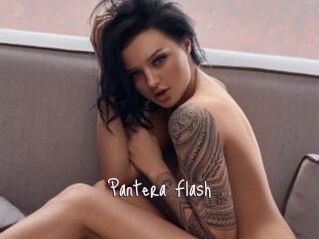 Pantera_Flash