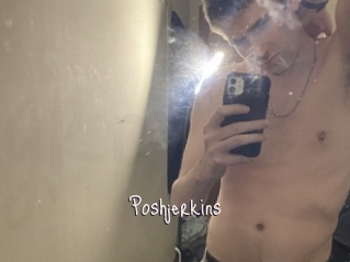 Poshjerkins