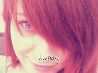 RedDaisy