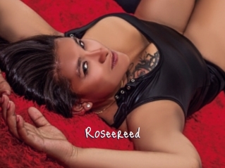 Roseereed