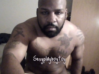 Sexyplayboytoy