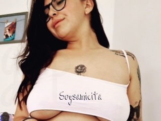 Soysamicita