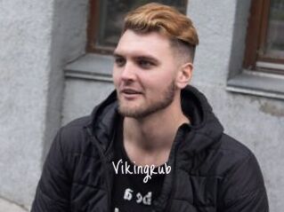 Vikingrub